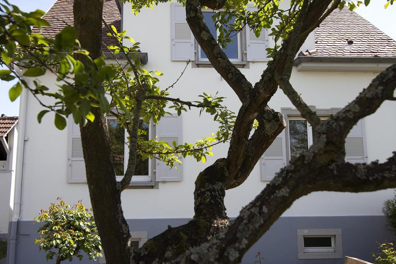 Ravissant 3P 90M2 Au Calme, Proche Du Parlement Europeen Štrasburk Exteriér fotografie